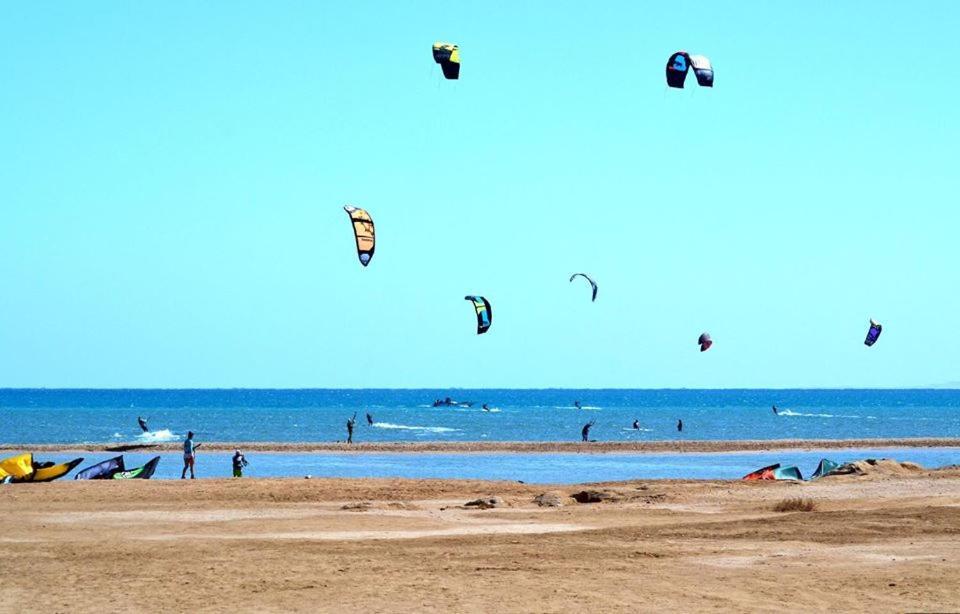 Cozy Little Studio Near Kite Station. 1