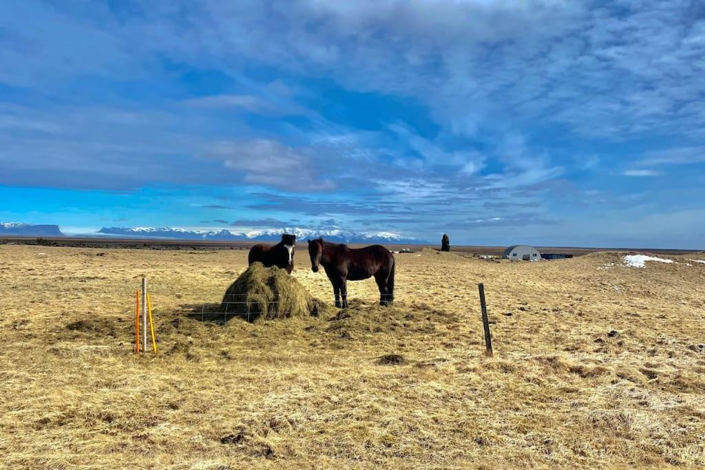 Eaglerock Guesthouse And Tours 2