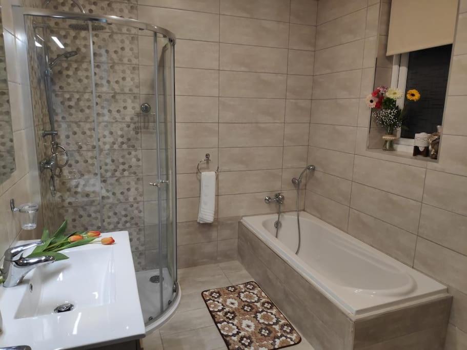 Cheerful 3 Bedroom Town House with Garage Free Parking Inside Or Outside with Back Yard And Roof 1