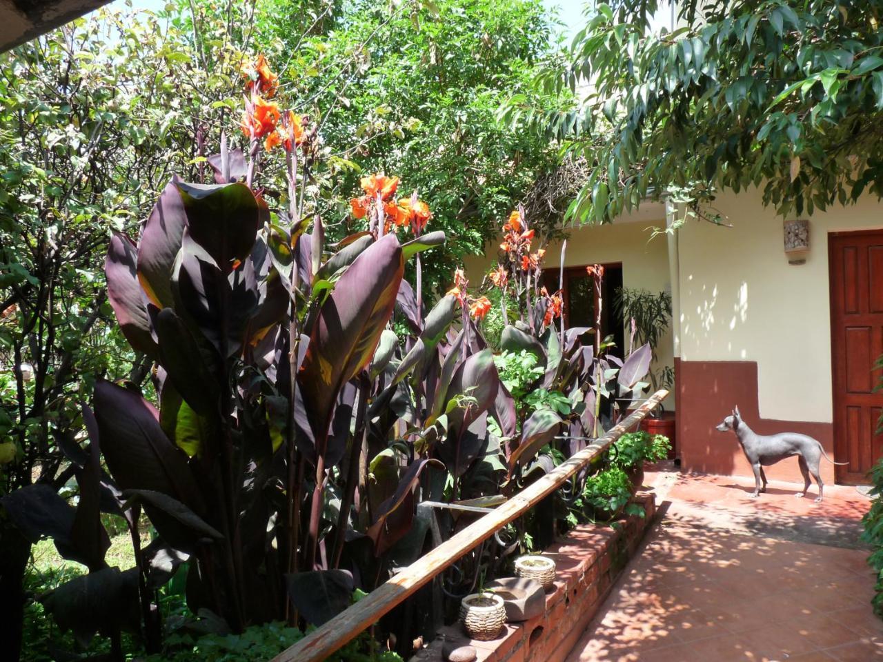 Kukuli Lodge B&B 2