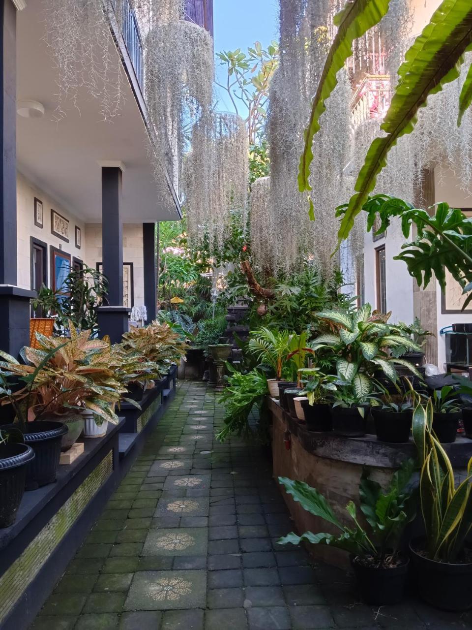 Double N Guesthouse 1