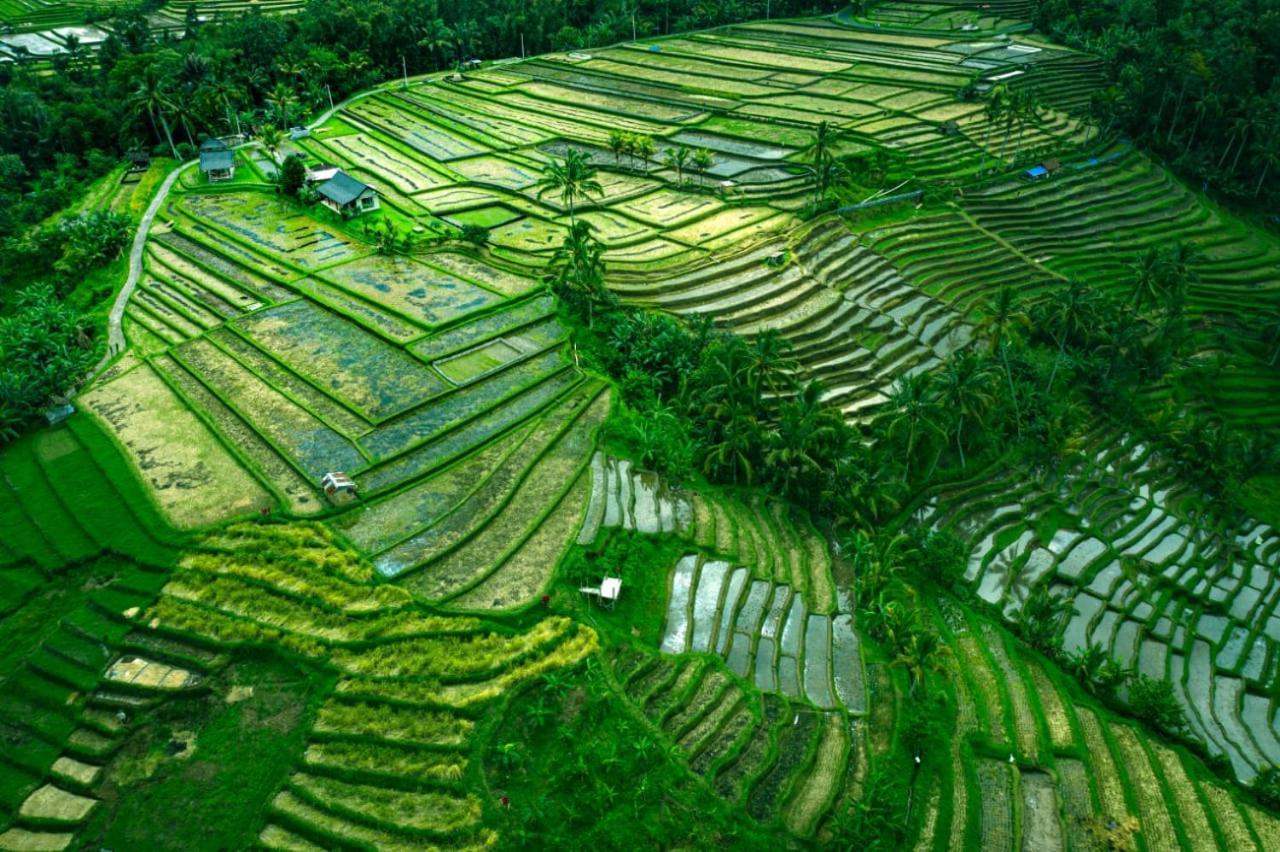 Kubu D'ume Homestay 2