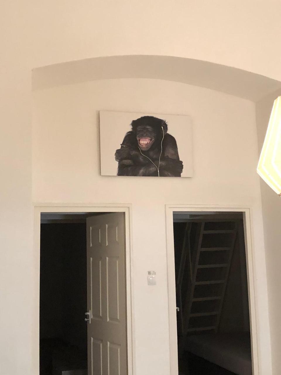 The Urban Jungle by Gozsdu 1