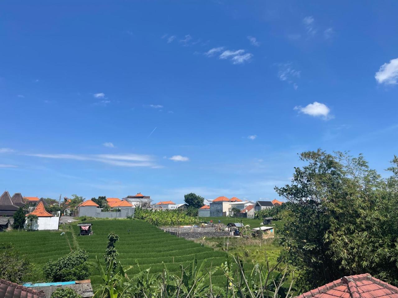 Villa Sydney Canggu Paddy Field View 3 Bed, Private Villa 2