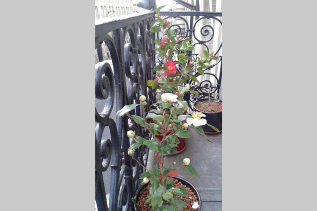 Haussmannien Moderne 2 Pieces Quartier Europe du 8eme 2