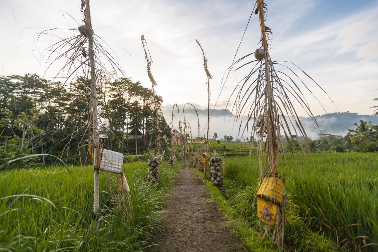 Ume Dukuh Home Sidemen 2