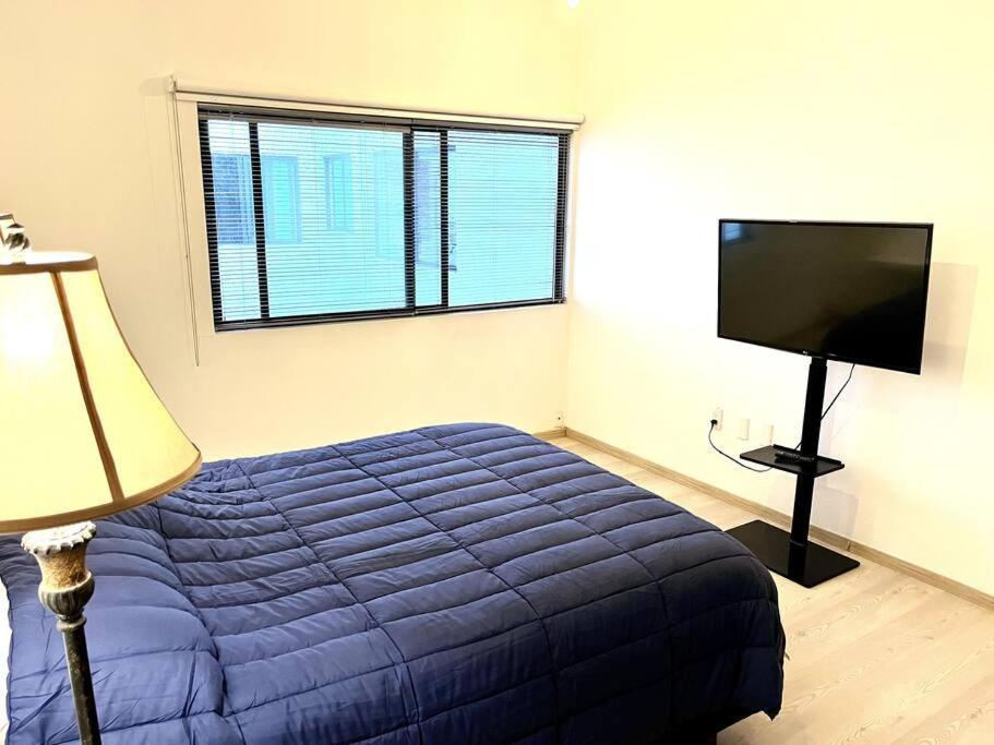 Apartment in the Touristic Heart of Mexico City 2