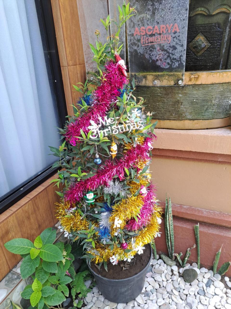 Ascarya Guest House 2