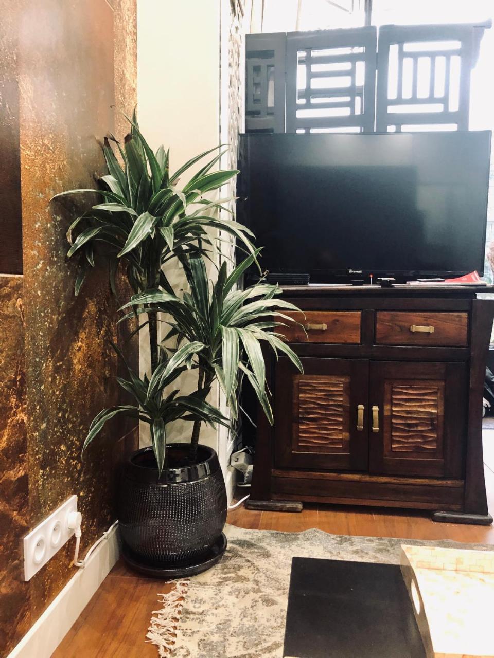 Luxury Parisian Studios Design by Kenzo in July 2024 1