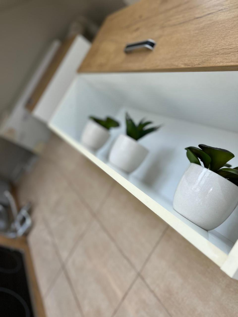 Mateo Apartments I Contactless Check-In