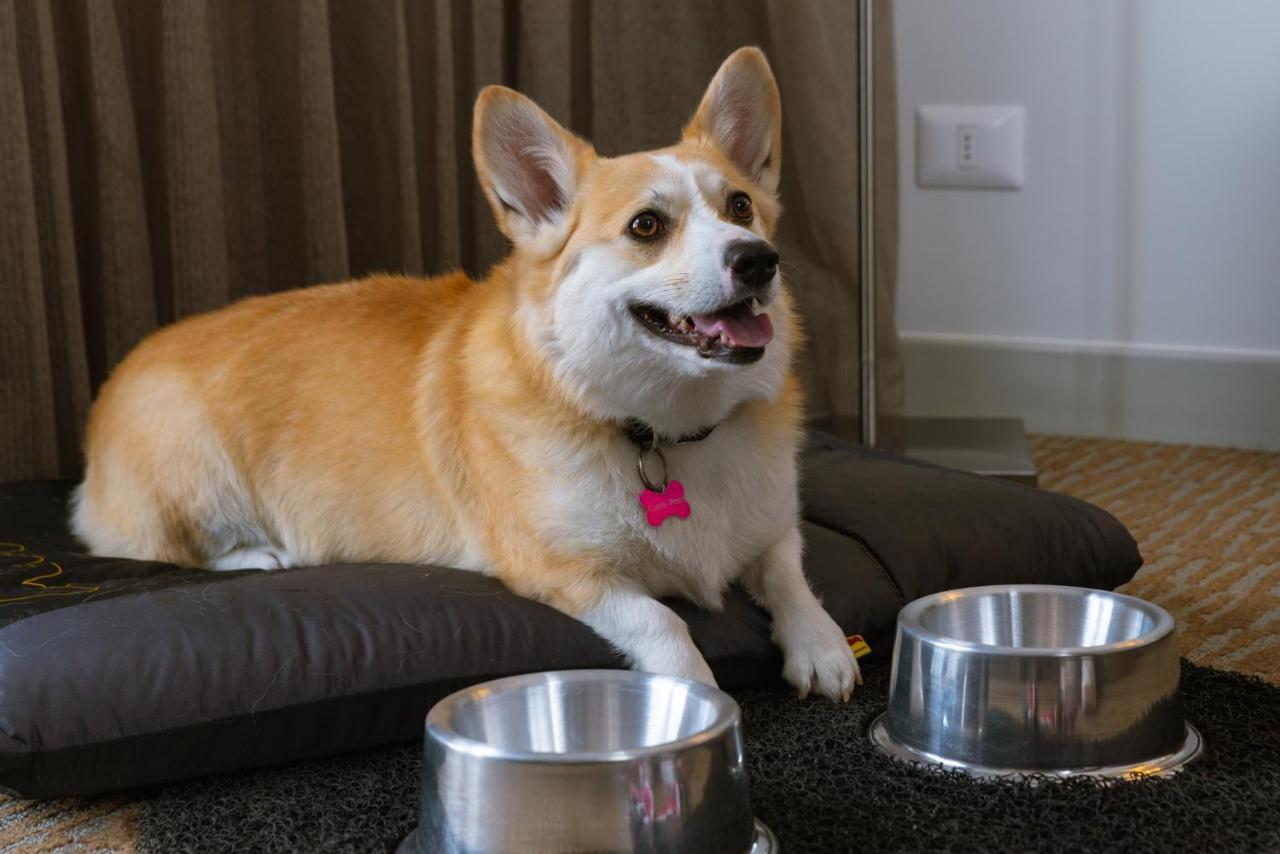 Hilton Garden Inn Cusco 1