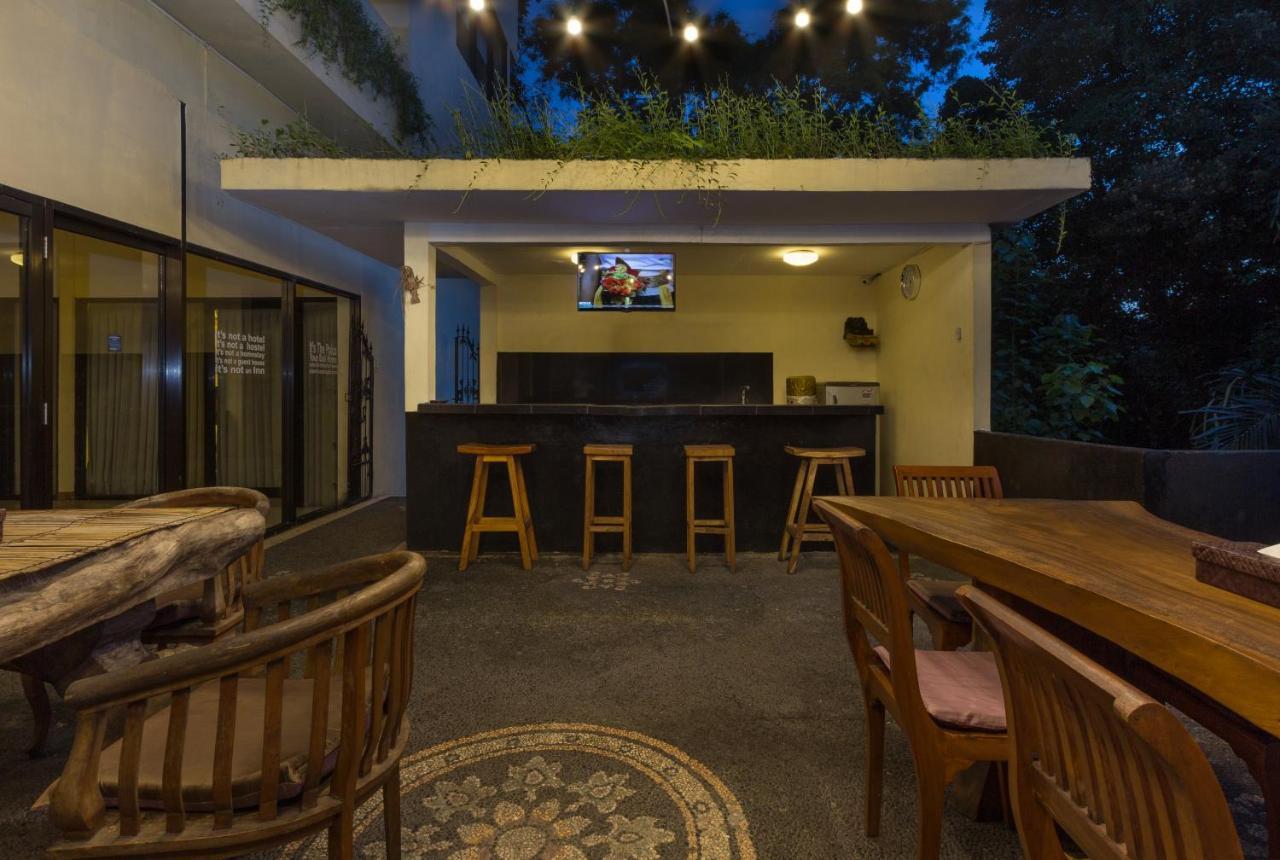 The Paica (Adults only) 2