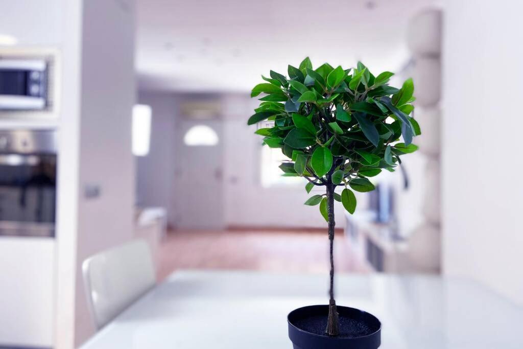 Casa Adosada Con Jardín. 1