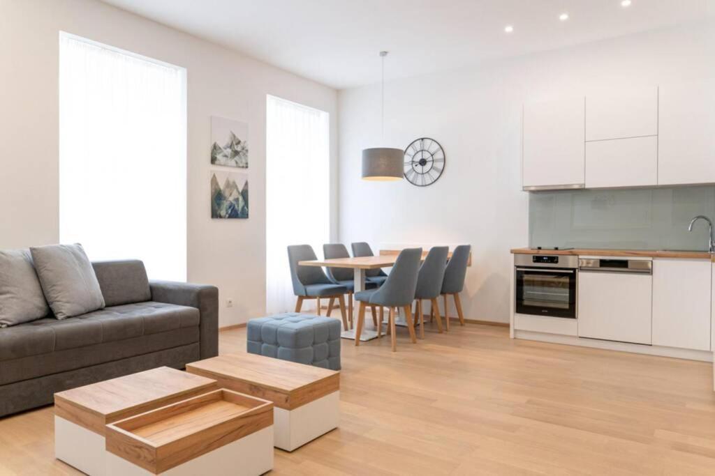 Spacious Apartment in the Heart of Vienna