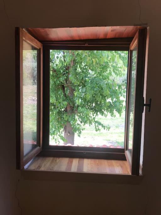 Lovely House in the Heart of Nature 2