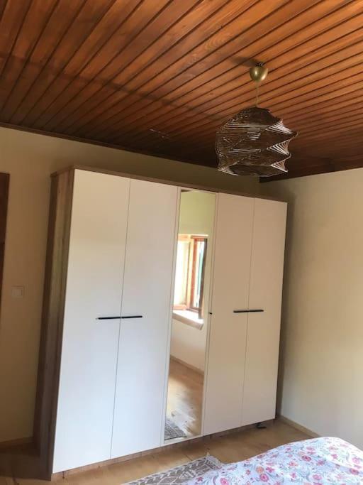 Lovely House in the Heart of Nature 1