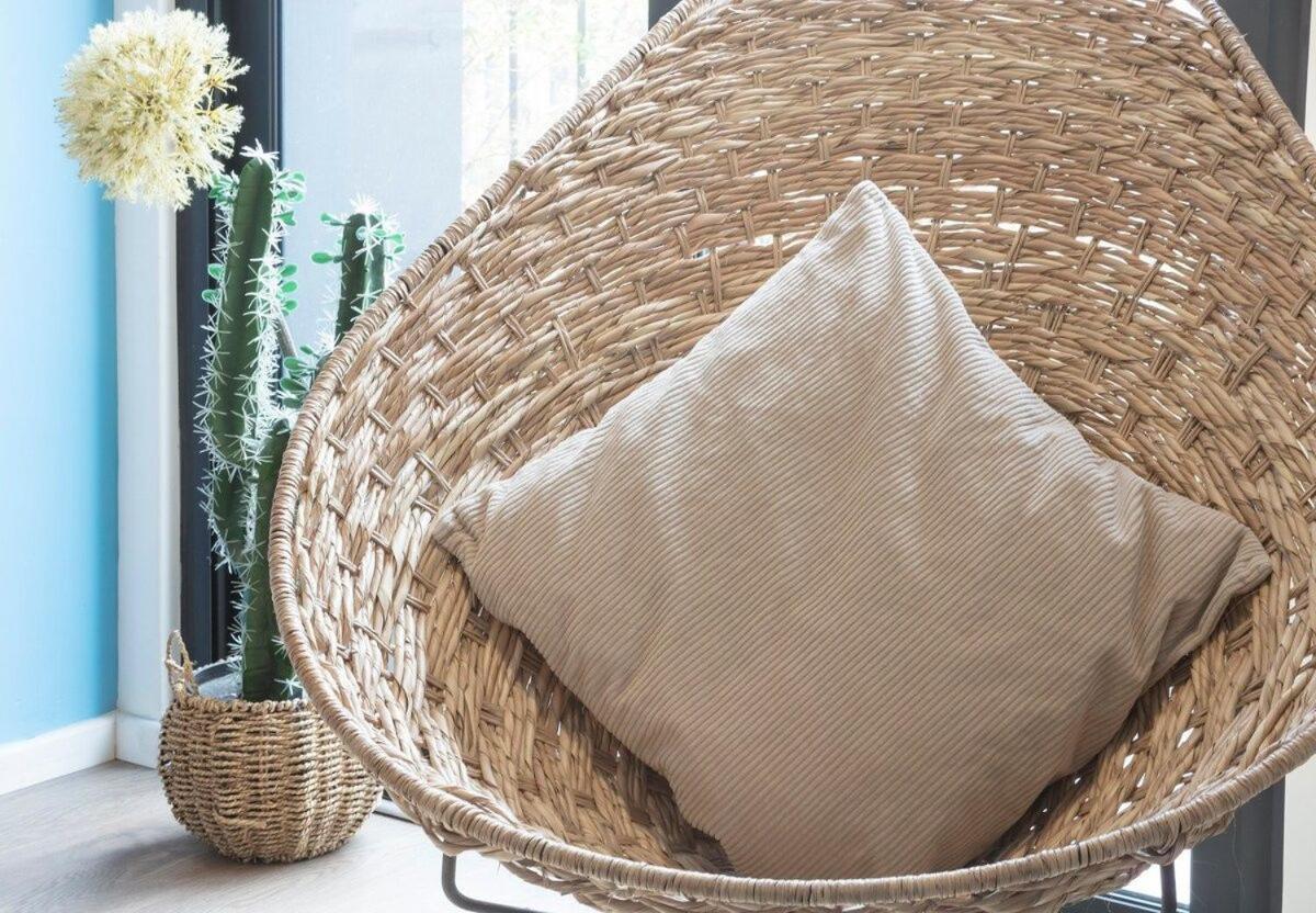 Muuuy Mexicano a 2 Cuadras Del Zocalo 1