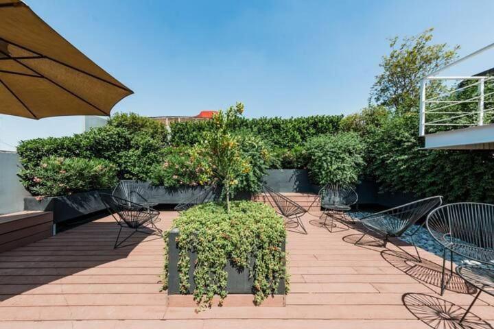 Edificio Remodelado. Frente Al Munal. Centro Historico 2