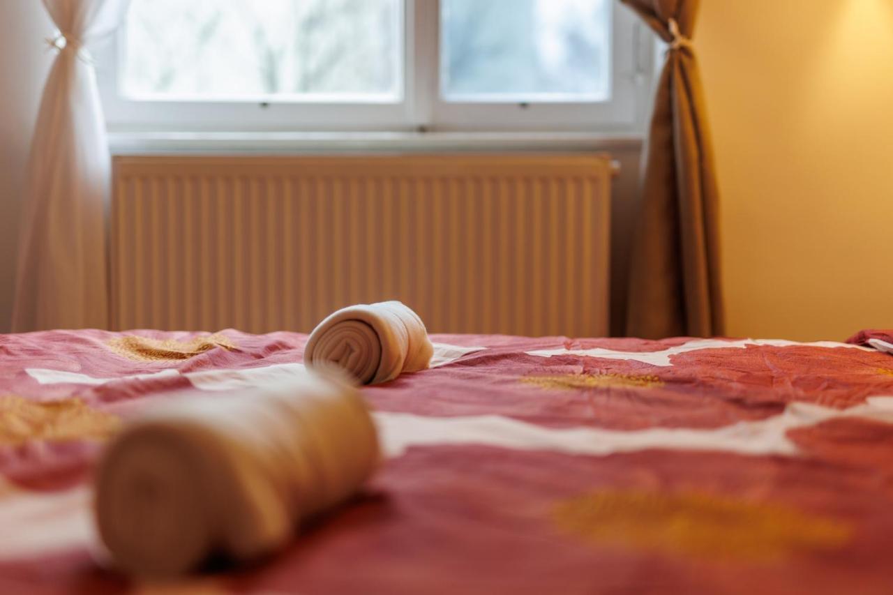 Cosy Brand New Apartment 1