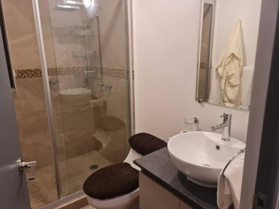 Se Renta Por Dia Departamento En El Centro 2