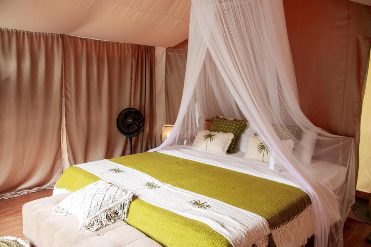 Glamping Tent in Pelaga Eco Park 1