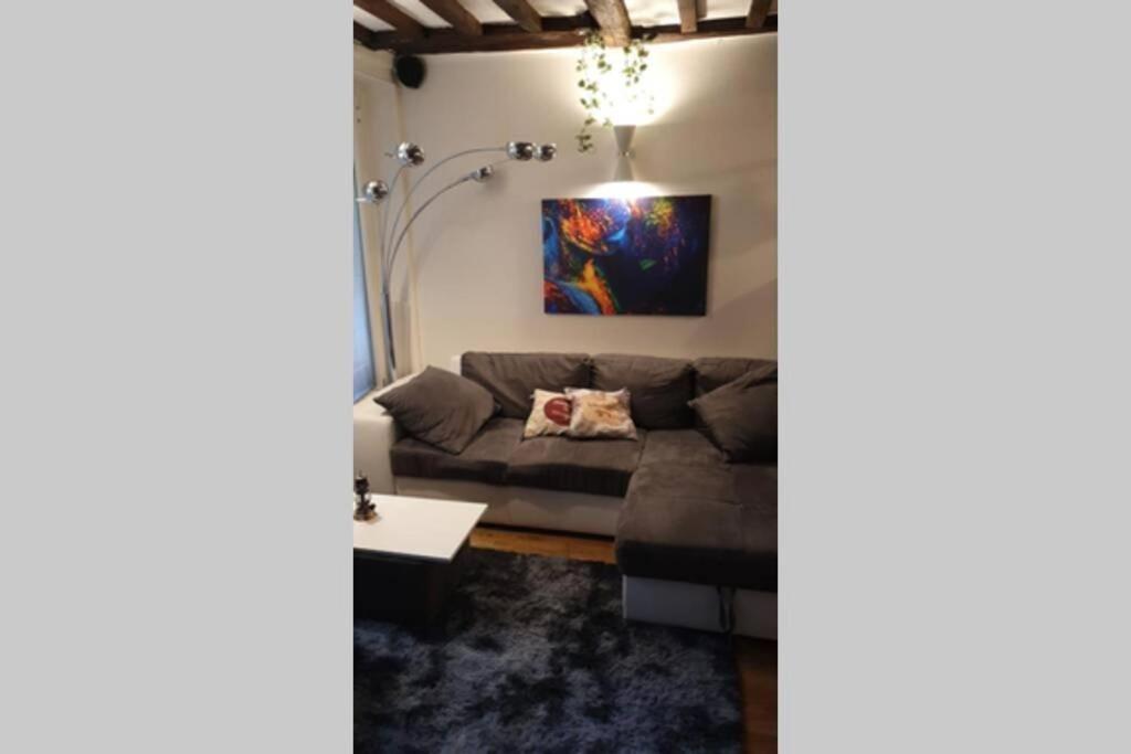 Cozy Apt Heart of Paris, 3 Mins Louvre