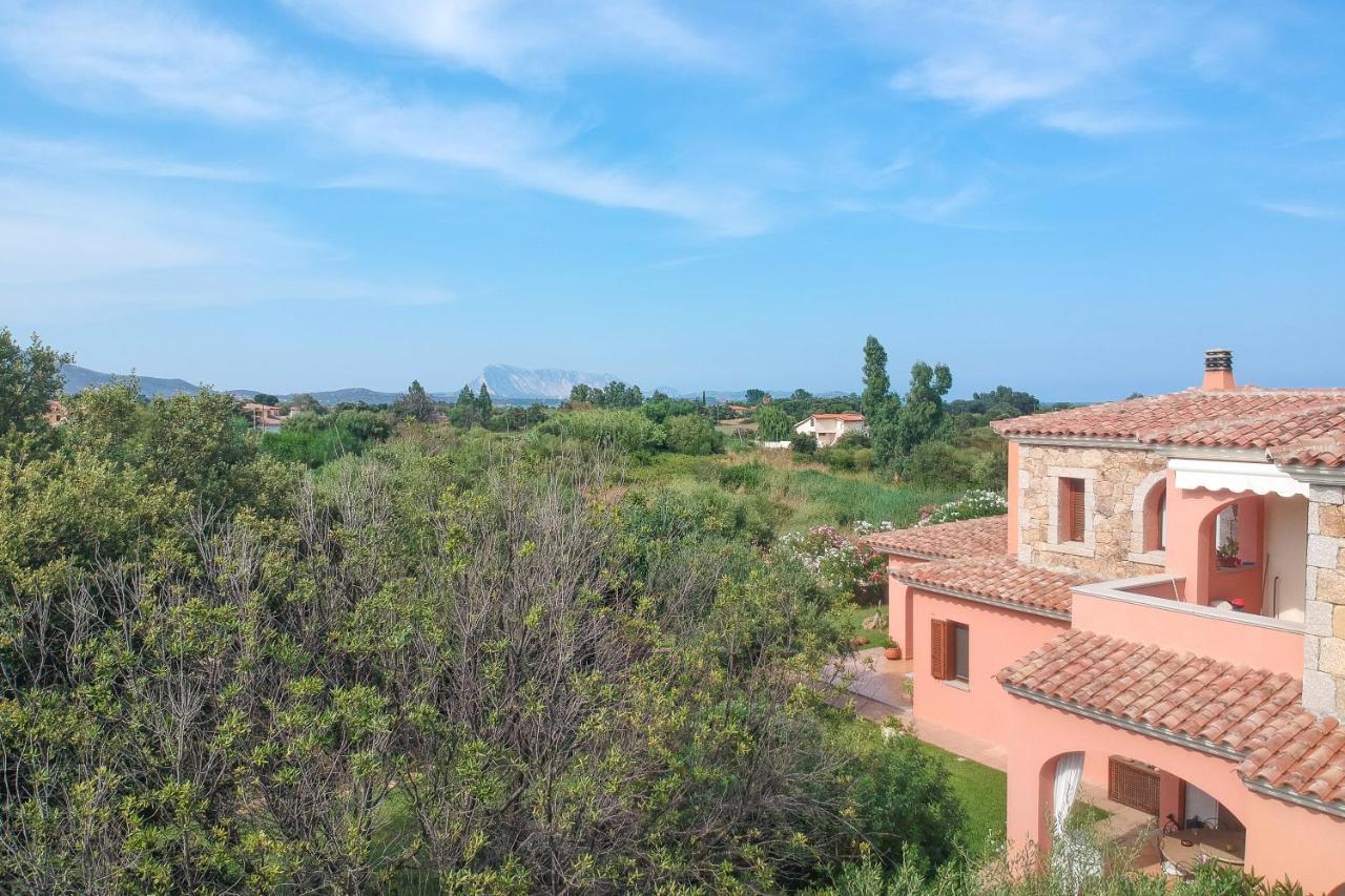 Villetta Olivastro 2