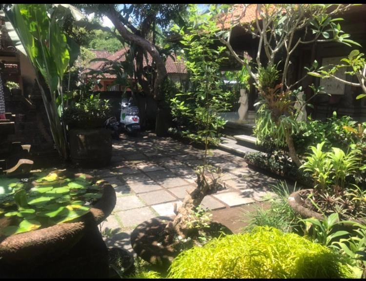 Arsa Wayan Guest House 2