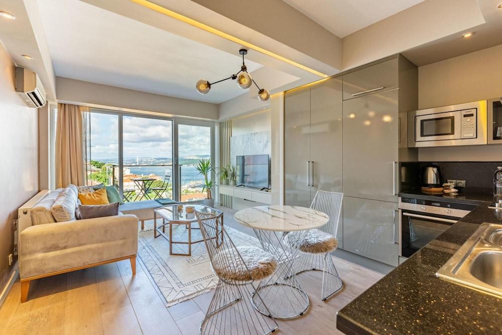 Central Apartment with Bosphorus View in Cihangir