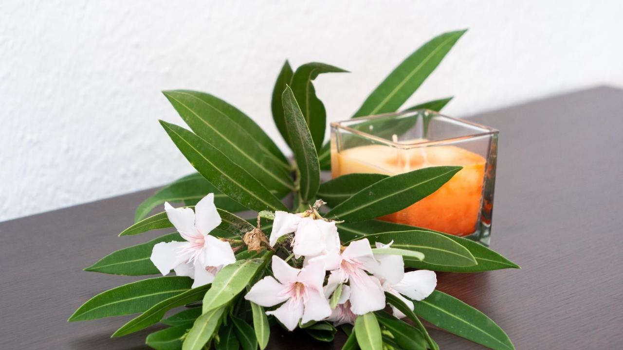 Welcomely - L'alzoni 1