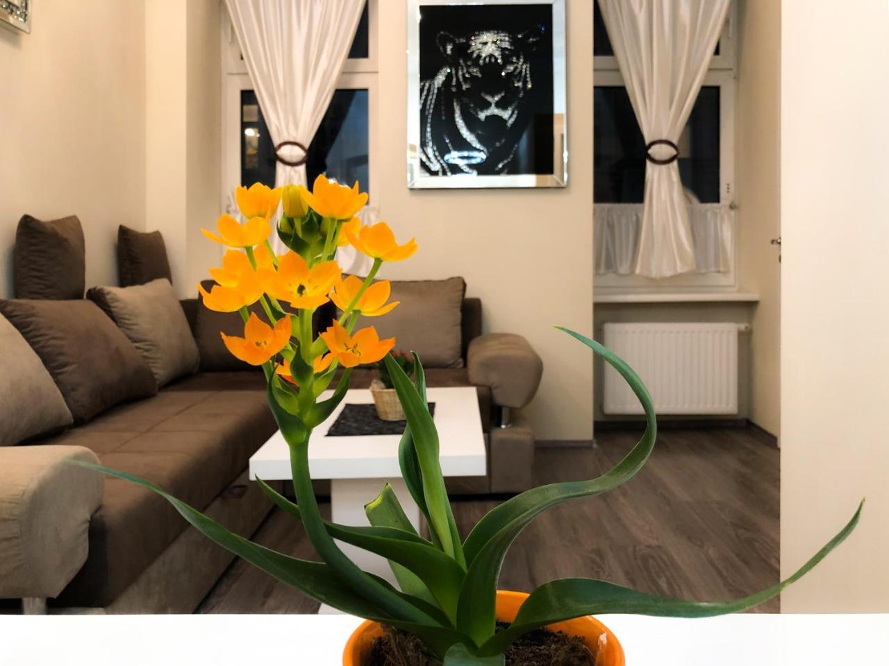 Deluxe Apartment Vienna 1