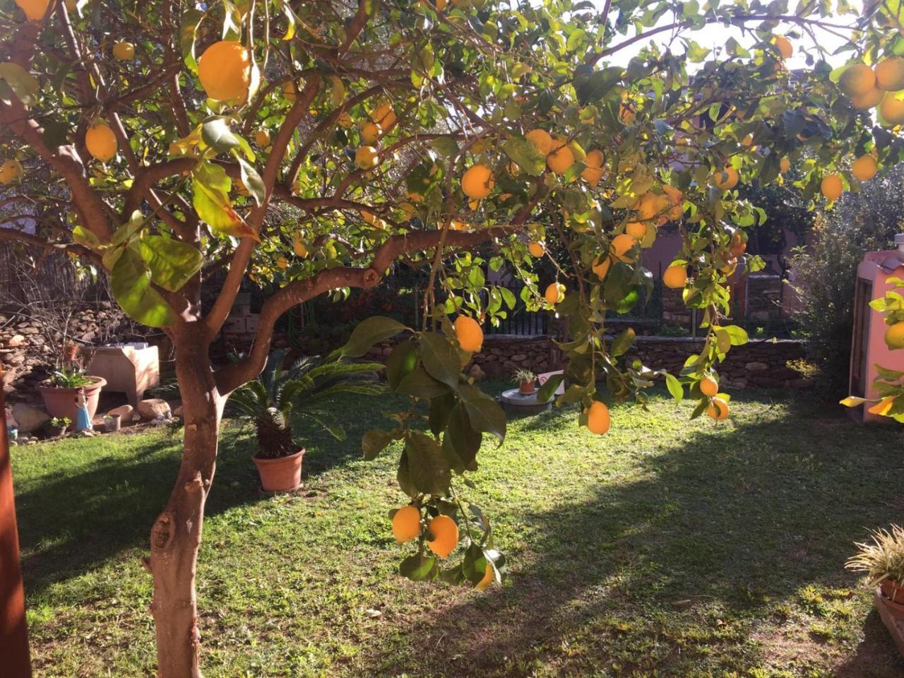 Casa Paese Spiaggia Via Monti 1