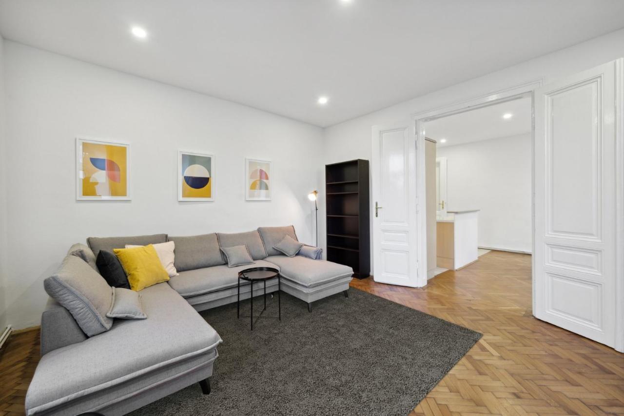 Big Spacious Central Apartment in Vienna 1