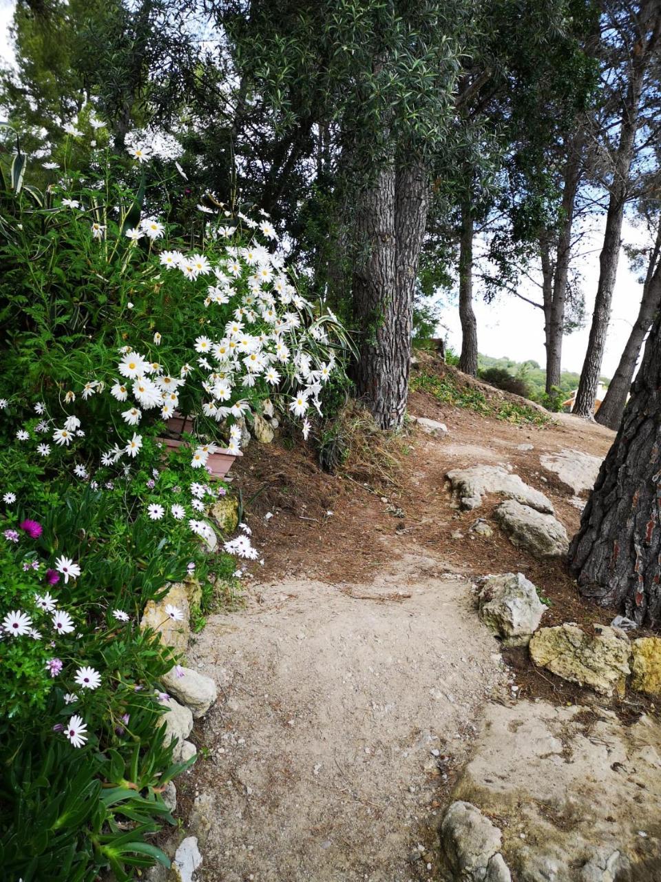 Apartamento Entre la Playa Y la Montana 1