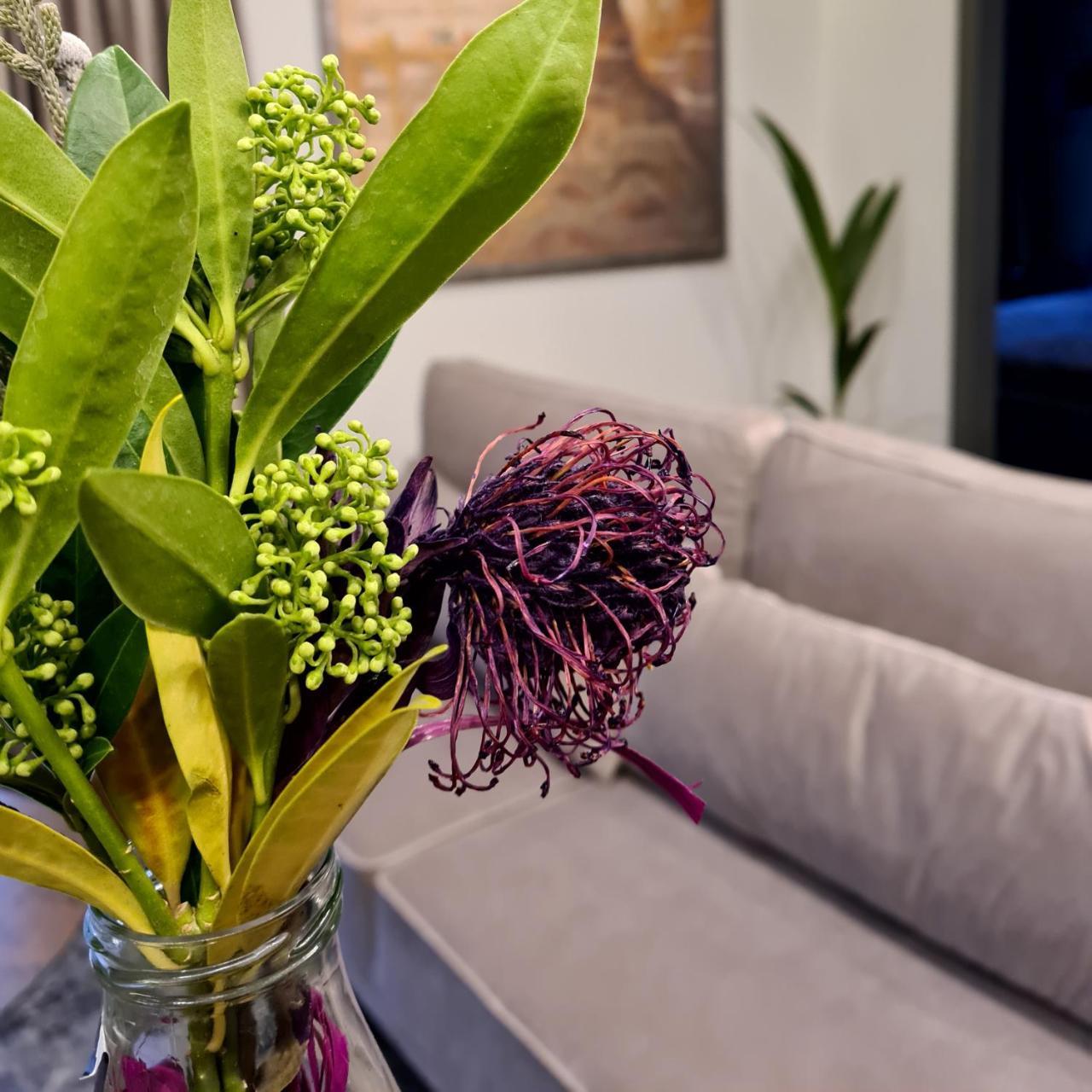 Stay in Kaunas & Park House