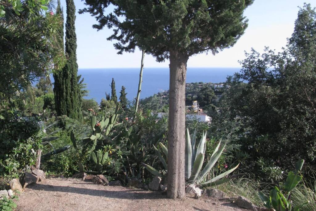 Kerstin Bruns- Casa Sofia