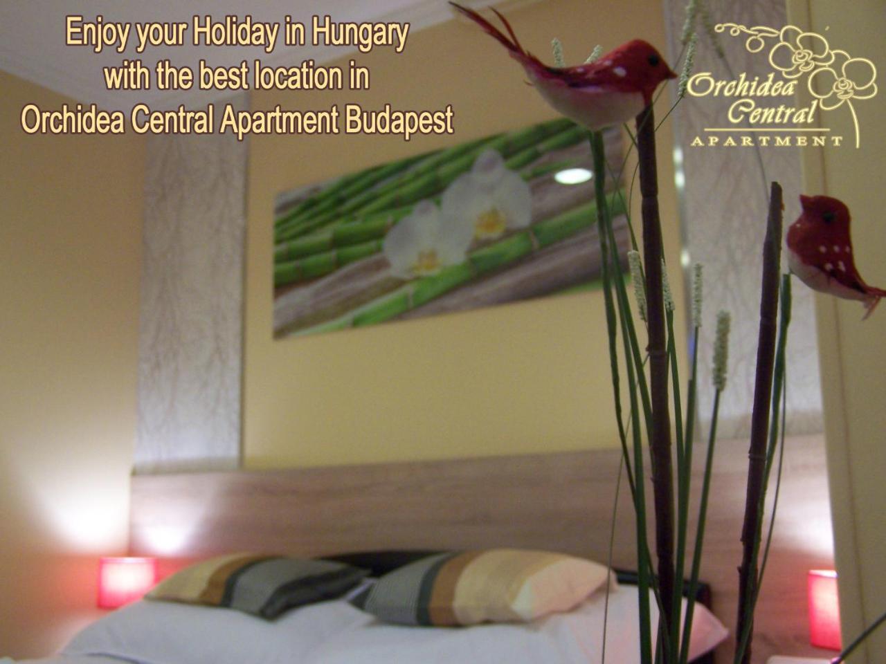 Orchidea Central Apartment