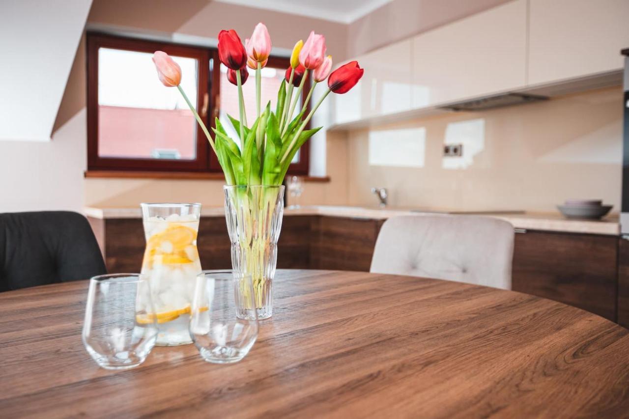 Point Flat, Beautiful View From Terrace To Prague Castle