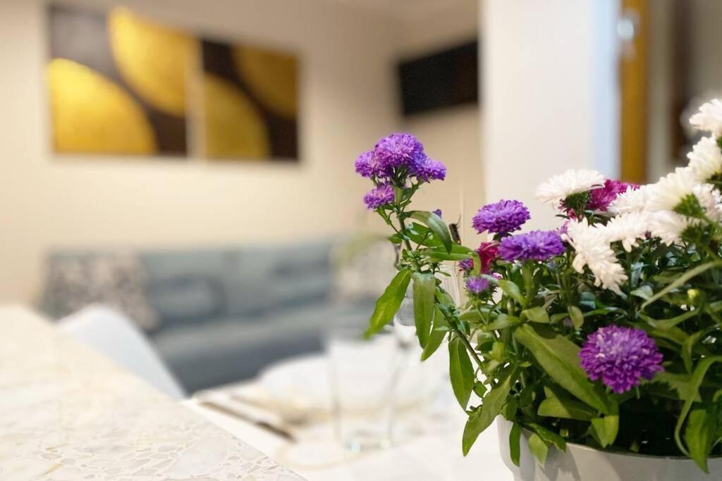 Exclusive 2br! Apartment Near City Center +Netflix