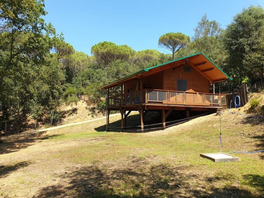 Rustic Cabin in the Woods/Cabana En El Bosque