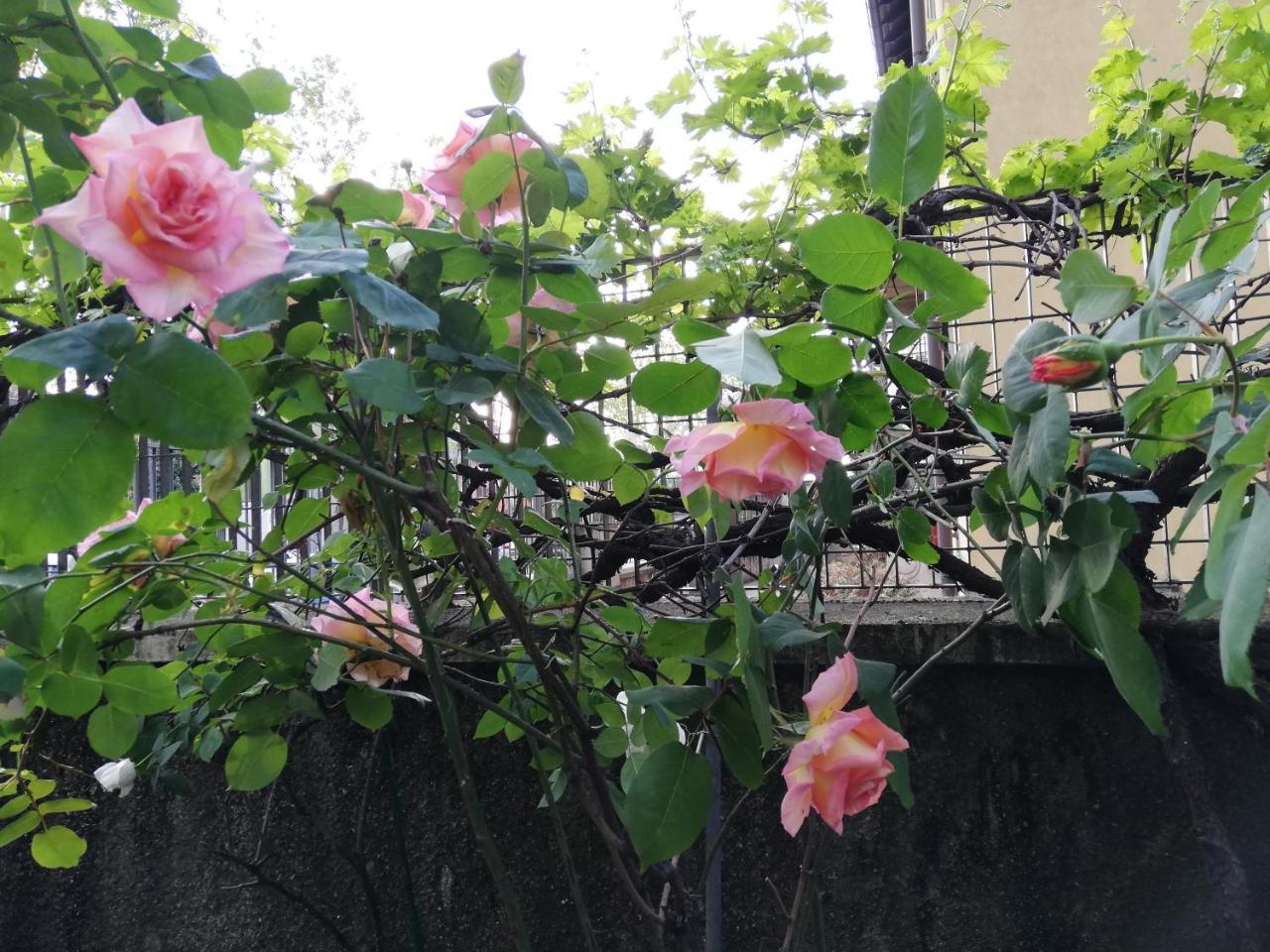 Villa Melchiorre 24 (Adults only)