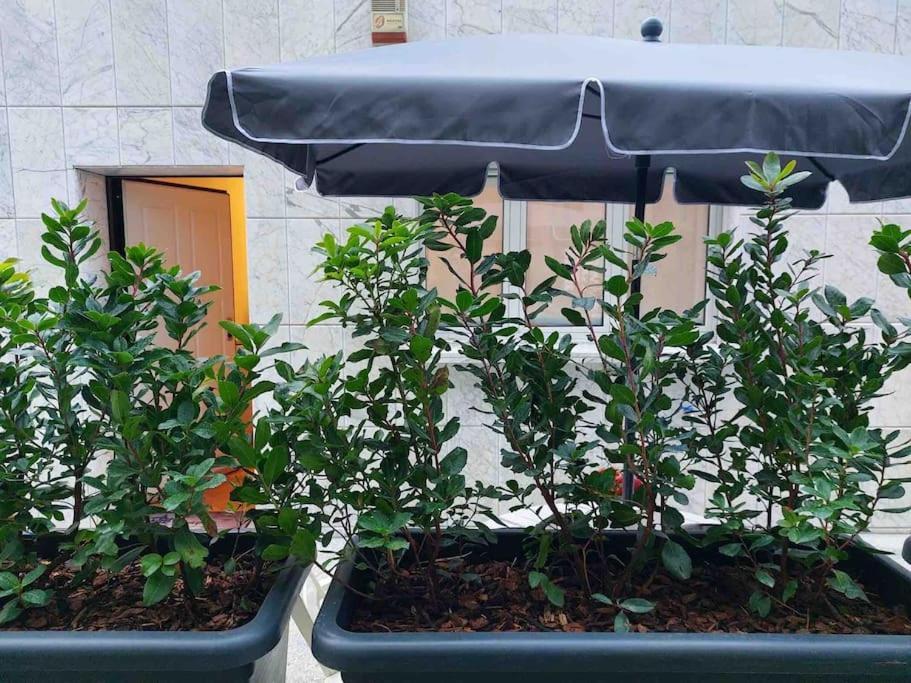 Appartamento Con Terrazzo Milano