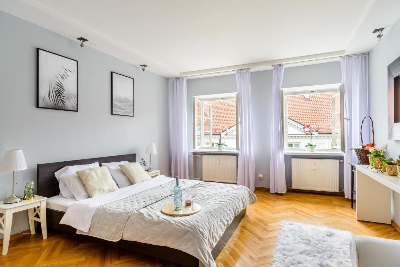 Amazing Apartment on Plac Zamkowy