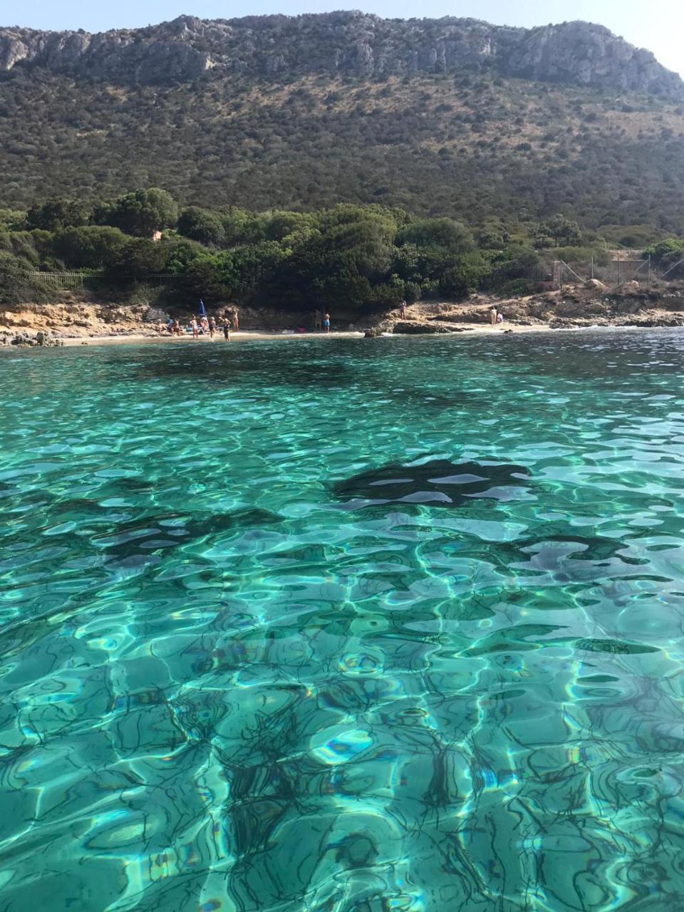 Le Farfalle Appartamento in Villa Trifamiliare