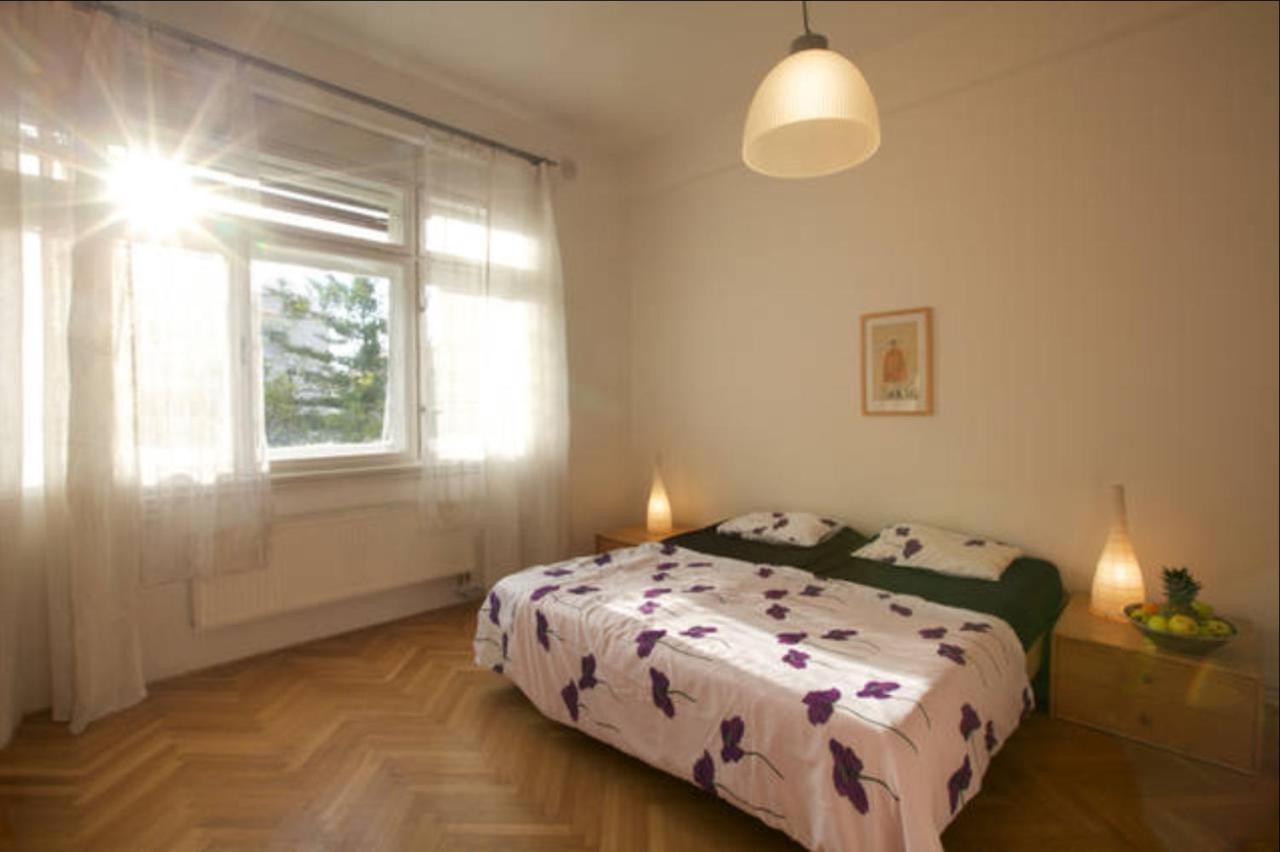 Apartment Sedlcanska - You Will Save Money Here - Equipped with Antique Furniture
