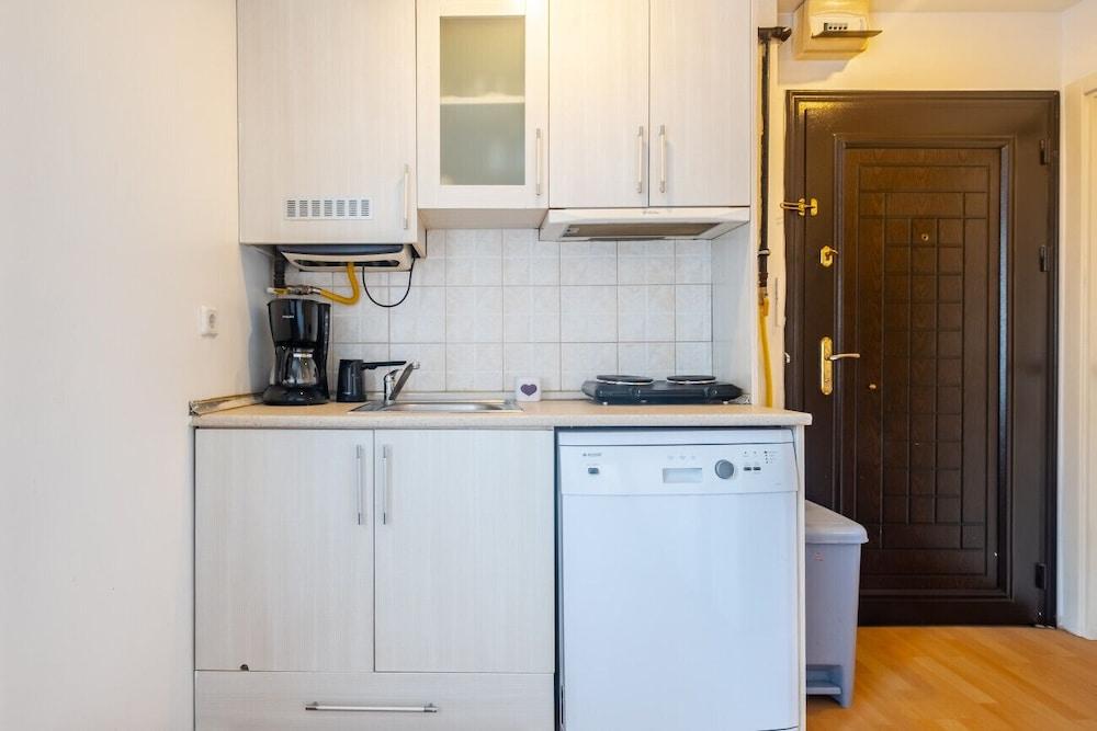 Vibrant Studio Flat Near Taksim Square 1