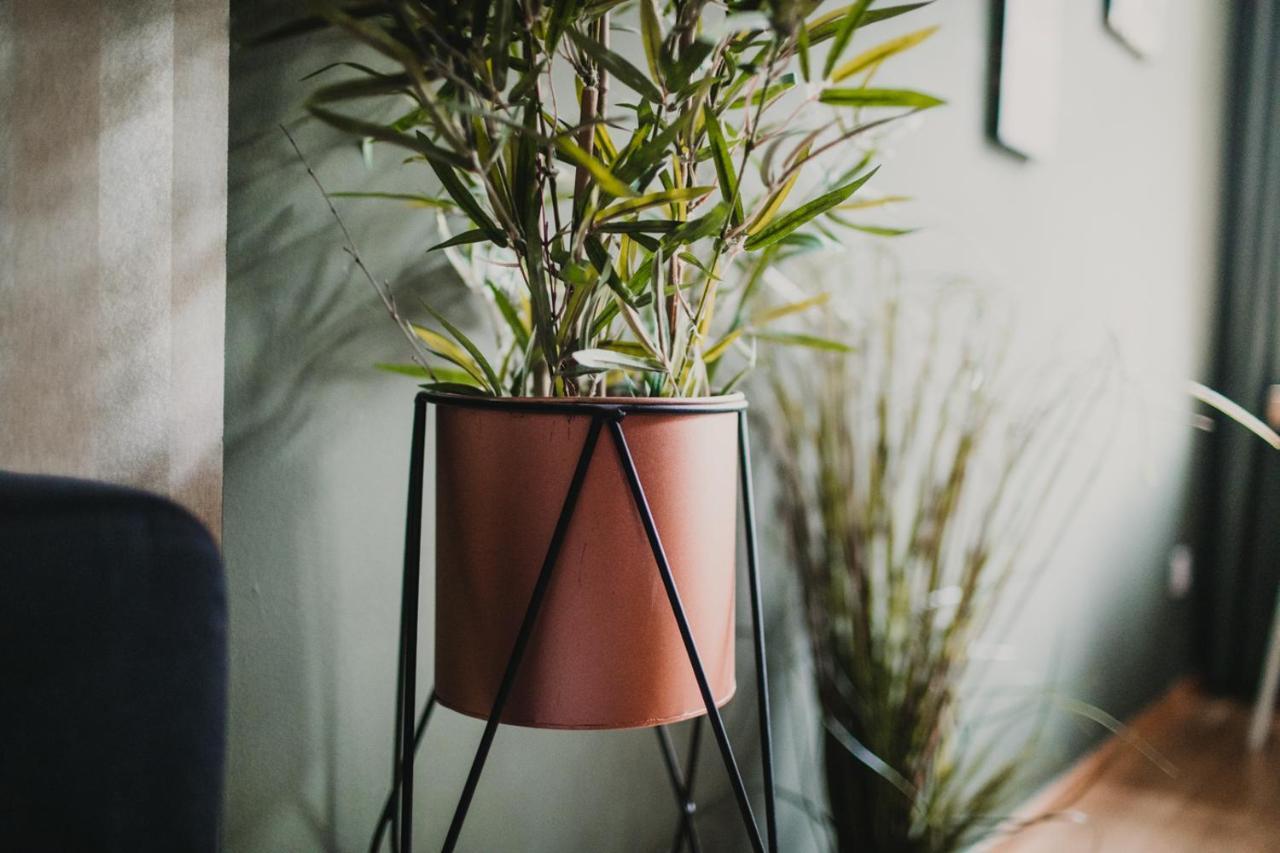 Zeus Design Apartments Lovely Home Vienna 2