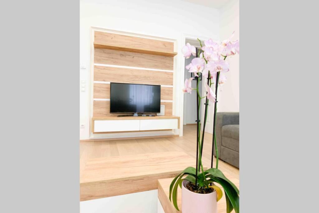 Spacious Apartment in the Heart of Vienna 2