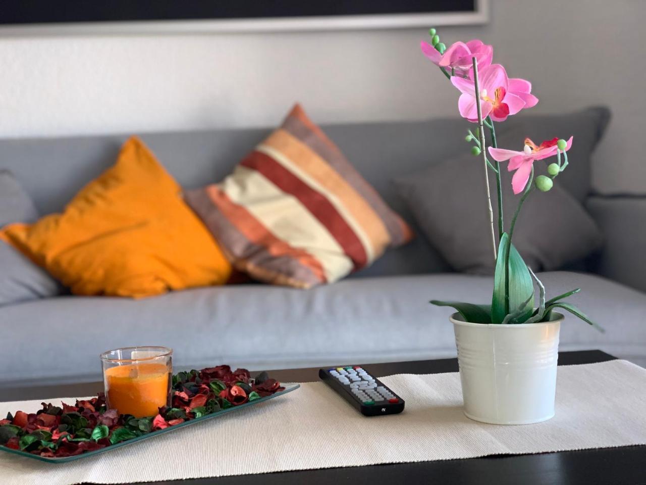 Quiet Studio, Incredible Views, Climatized Pool, Free Wifi (Adults Only) 1