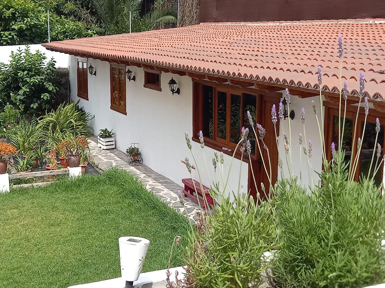 Cozy House Casa Vero Mai Icod de Los Vinos